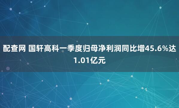 配查网 国轩高科一季度归母净利润同比增45.6%达1.01亿元