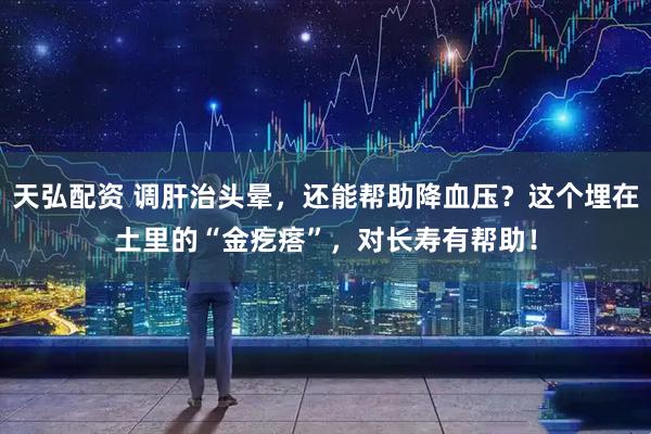 天弘配资 调肝治头晕，还能帮助降血压？这个埋在土里的“金疙瘩”，对长寿有帮助！