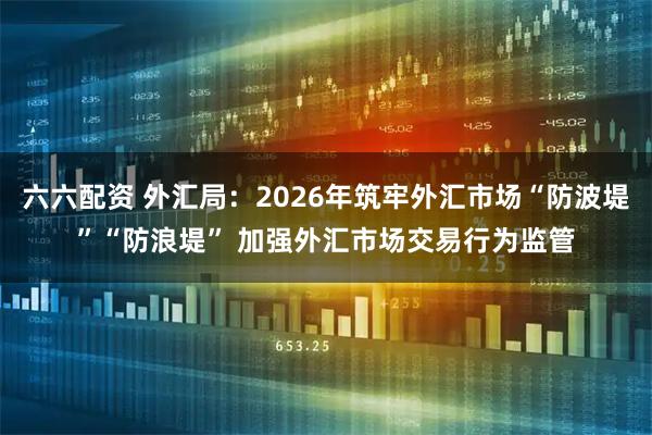 六六配资 外汇局：2026年筑牢外汇市场“防波堤”“防浪堤” 加强外汇市场交易行为监管