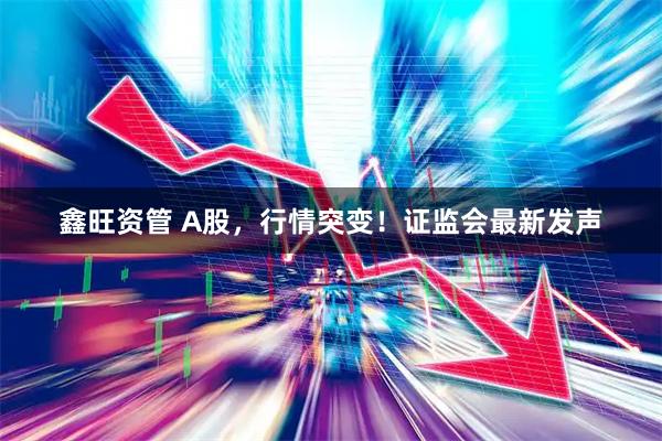 鑫旺资管 A股，行情突变！证监会最新发声